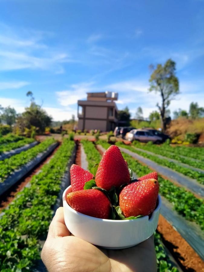 Divine Resort - Mahabaleshwar Panchgani Exterior foto